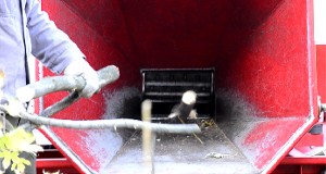 Gallyelszállítás: www.favago.hu